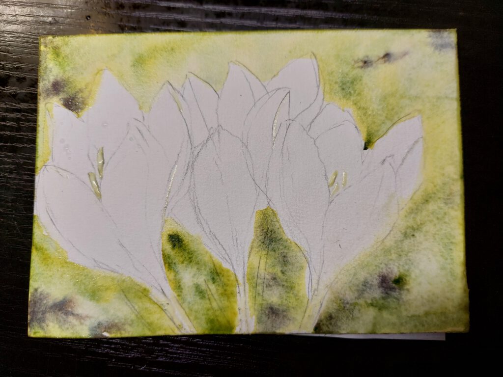 6