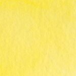 DS_leomn_yellow_PY175