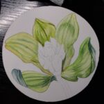 ita7