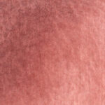 da_vinci_indian_red