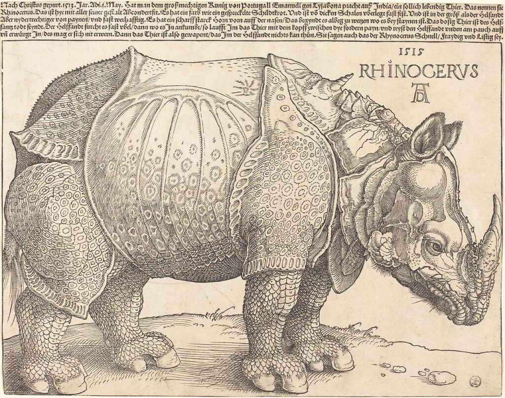 1280px-Albrecht_Dürer_-_The_Rhinoceros_(NGA_1964.8.697) 1280px-Albrecht_Dürer_-_The_Rhinoceros_(NGA_1964.8.697)