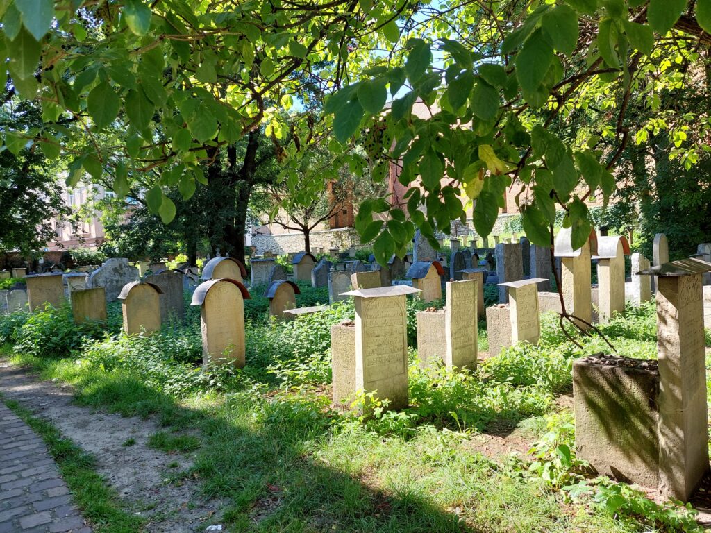 20240813_145259_popoludnie